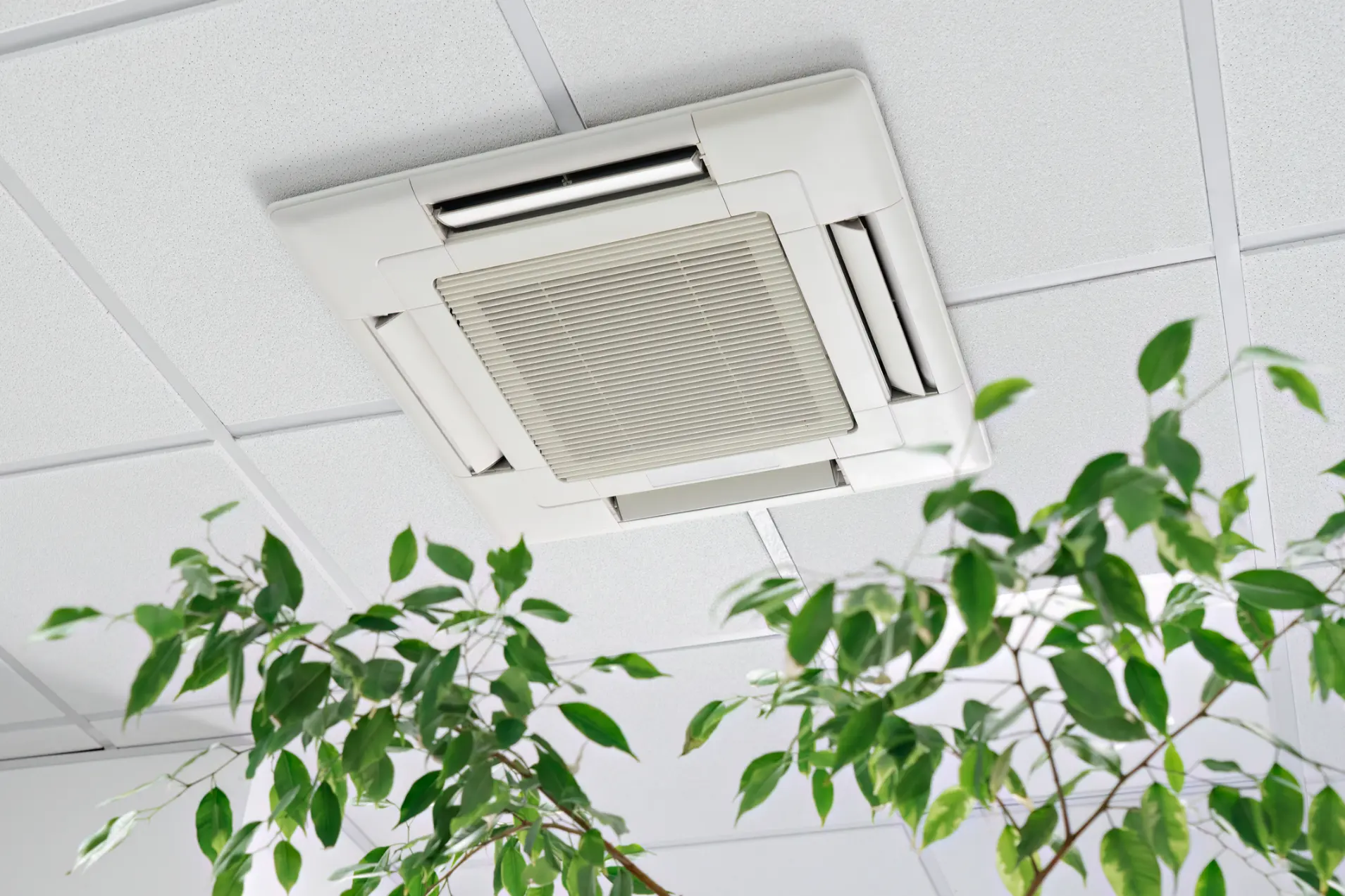 3 Reasons Why Your Home’s Air Equipment Needs Love Too