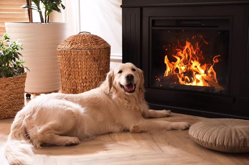 How to Convert Your Gas Fireplace to an Electric Fireplace