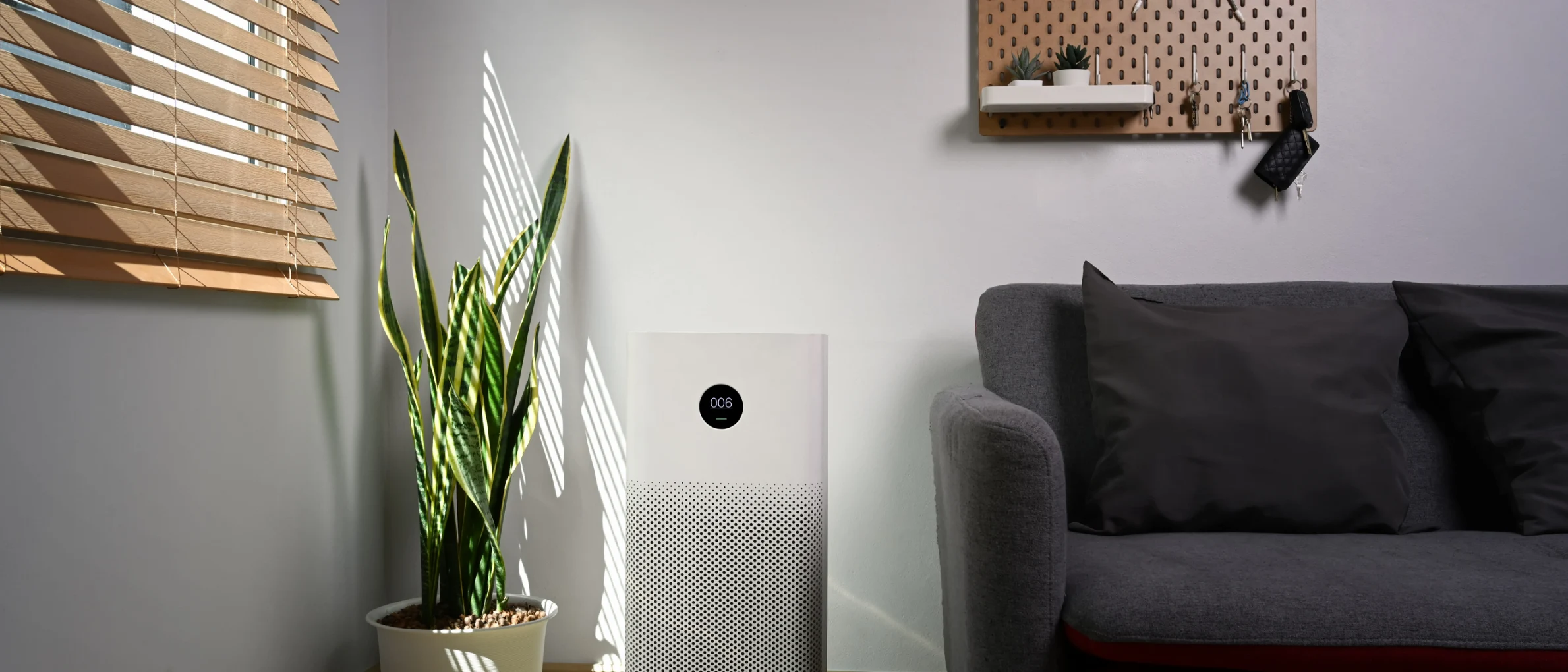 Indoor Air Quality Maintenance and Repair
