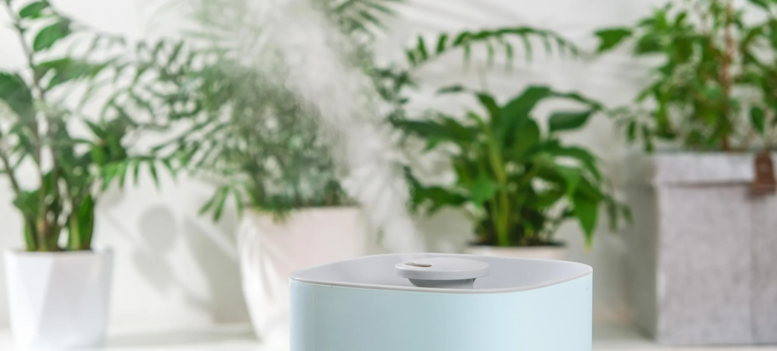 Indoor Air Quality Products